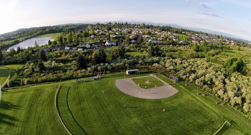 Photo by Paul Kurbis (Google)