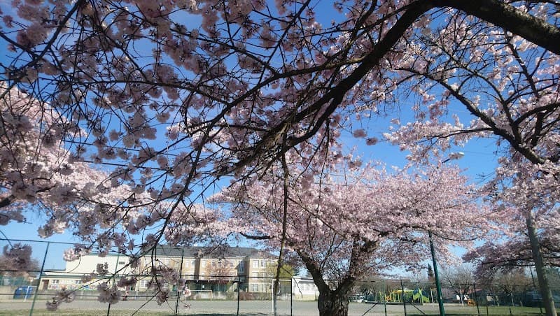 Photo by james fang (Google)