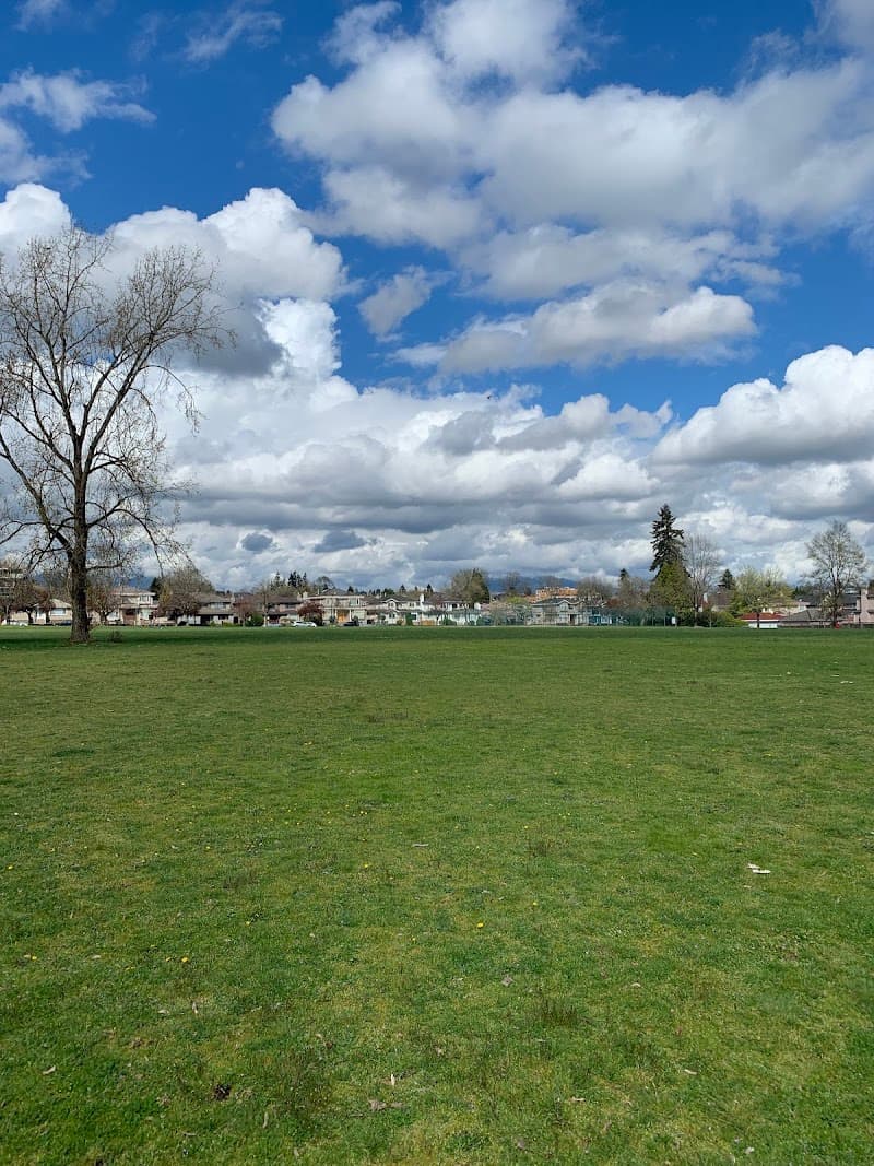 Photo by David Martin (Google)