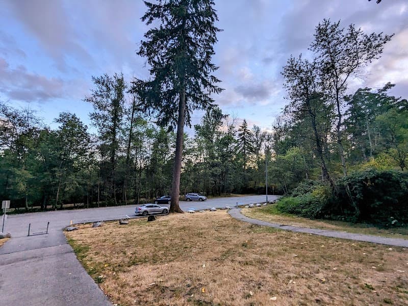 Photo by Ermia Aghaie (Google)