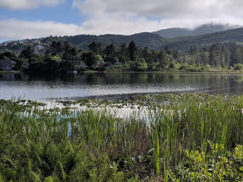 Photo by Віктор Свищо (Google)