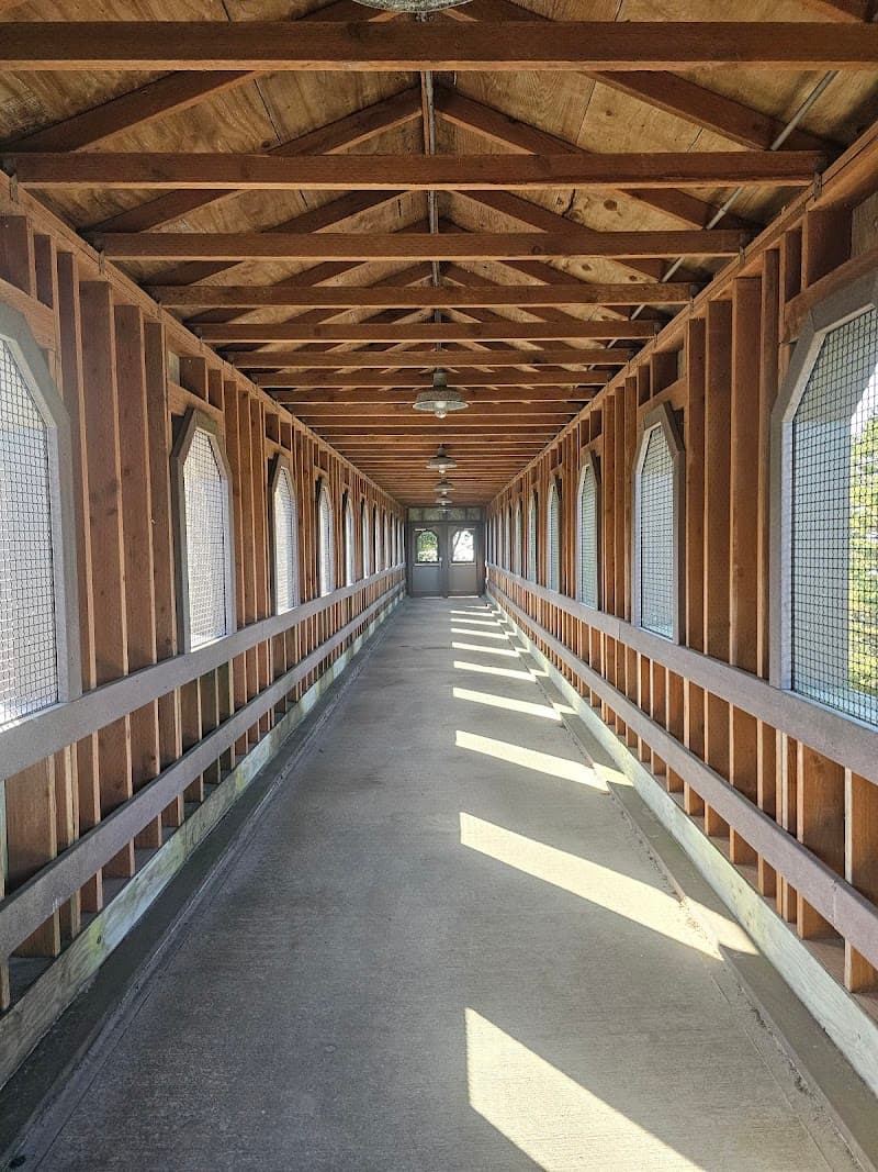 Twin Rocks Friends Camp & Conference Center