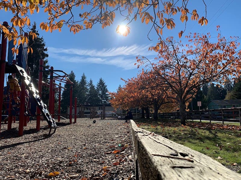 Photo by YAQOOB RAEISI (Google)