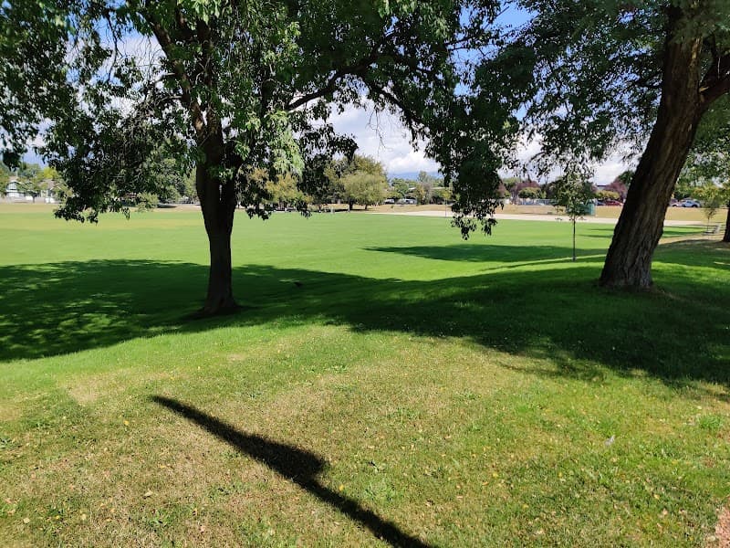 Photo by Amit Goldy (Google)