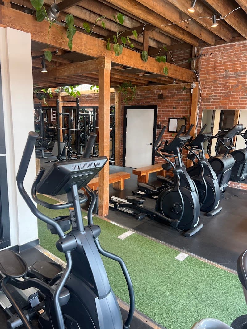 Photo by Susanna Leddo (Google)