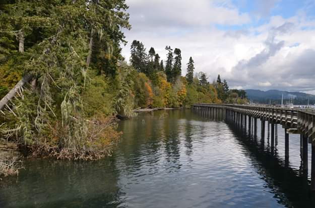 Photo by Lucy Harrison (Google)