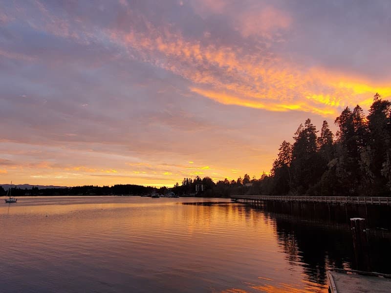 Photo by Samantha Welch (Google)