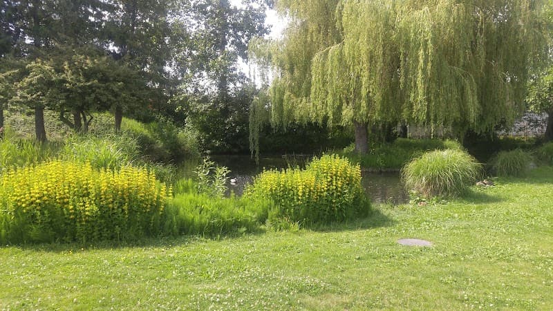 Photo by Garry Crispin (Google)