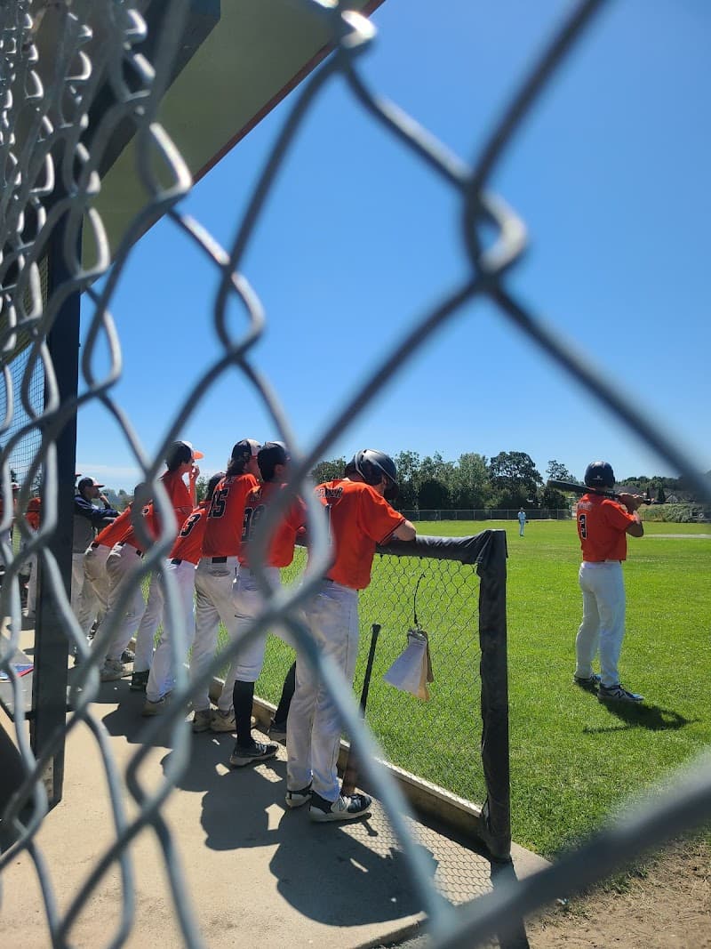 Photo by Sumi Oh (Google)