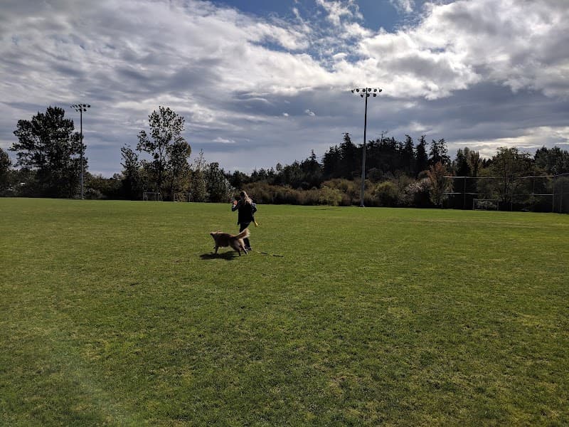 Photo by Zed Not Zee (Google)