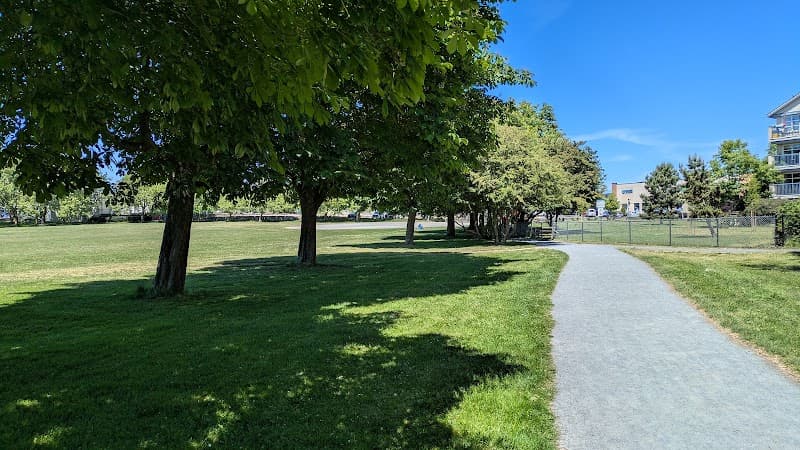 Photo by Mikael Besse (Google)