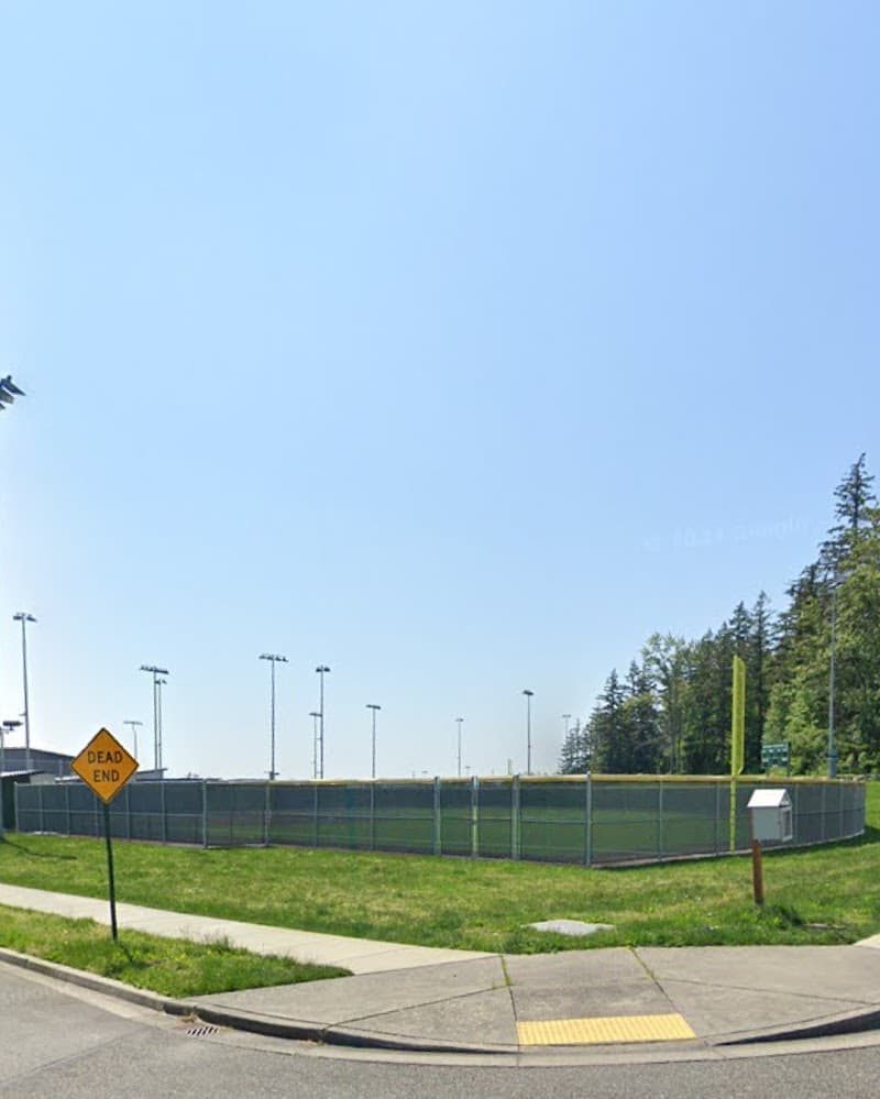 Photo by Bim S (Google)