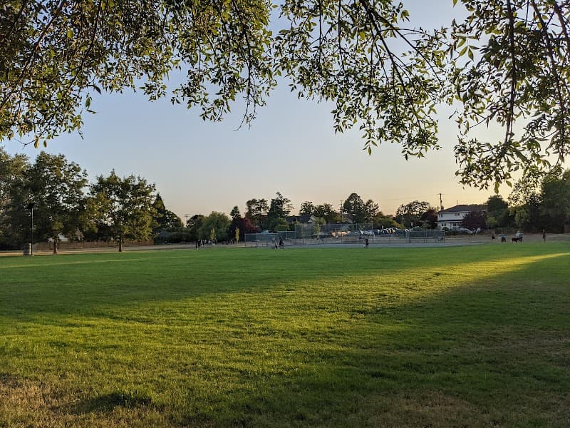 Photo by Li Qian (Google)