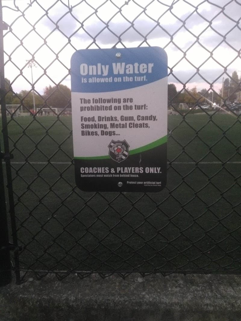 Photo by John Brum (Google)