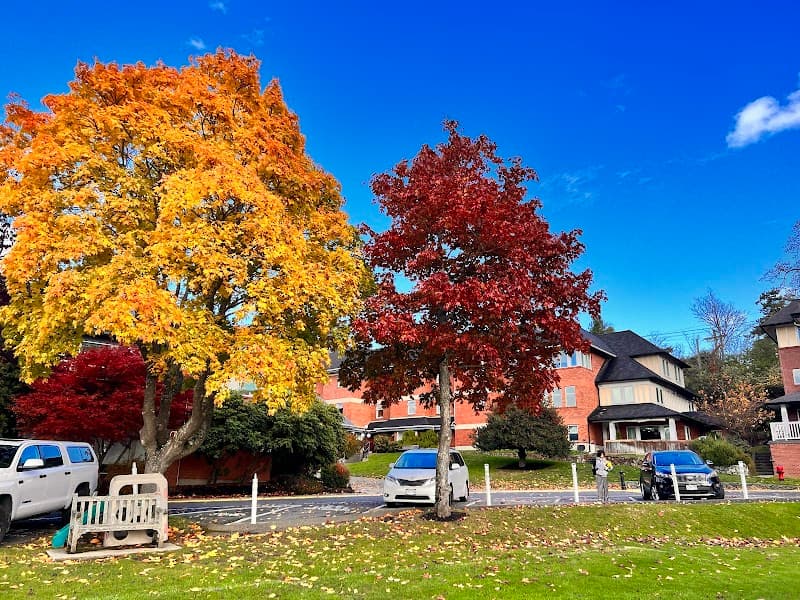 Photo by 张硕 (Google)