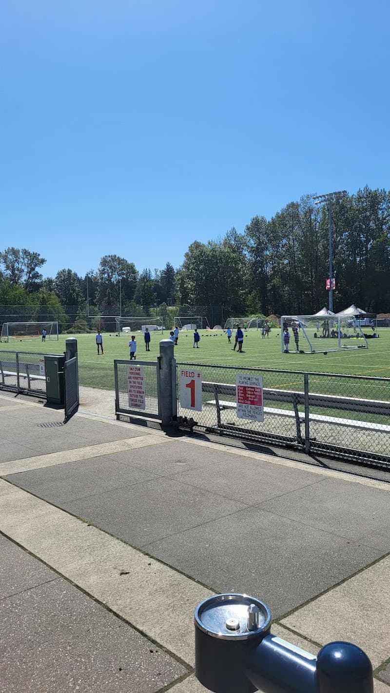 Photo by Alona Zhuchinska (Google)