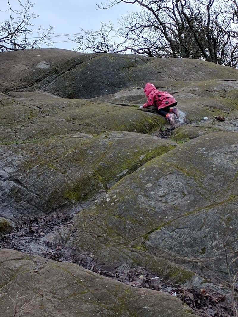 Photo by Amanda Sheehy (Google)