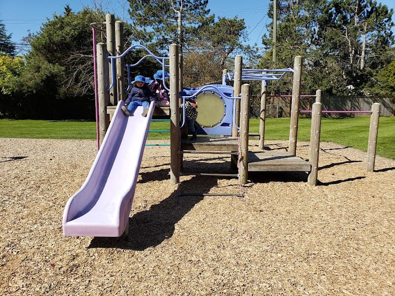 Photo by Jannette Lock (Google)