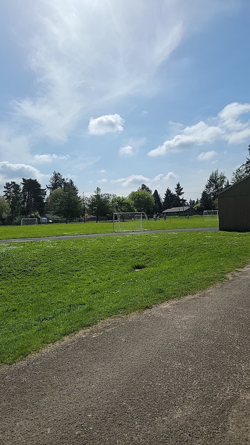 Photo by George Koshy (Google)