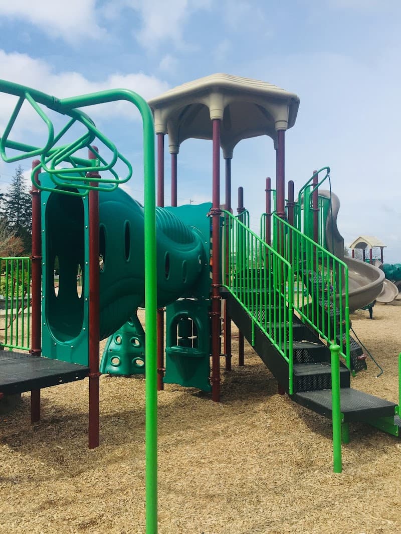 Photo by Myly Perez (Google)