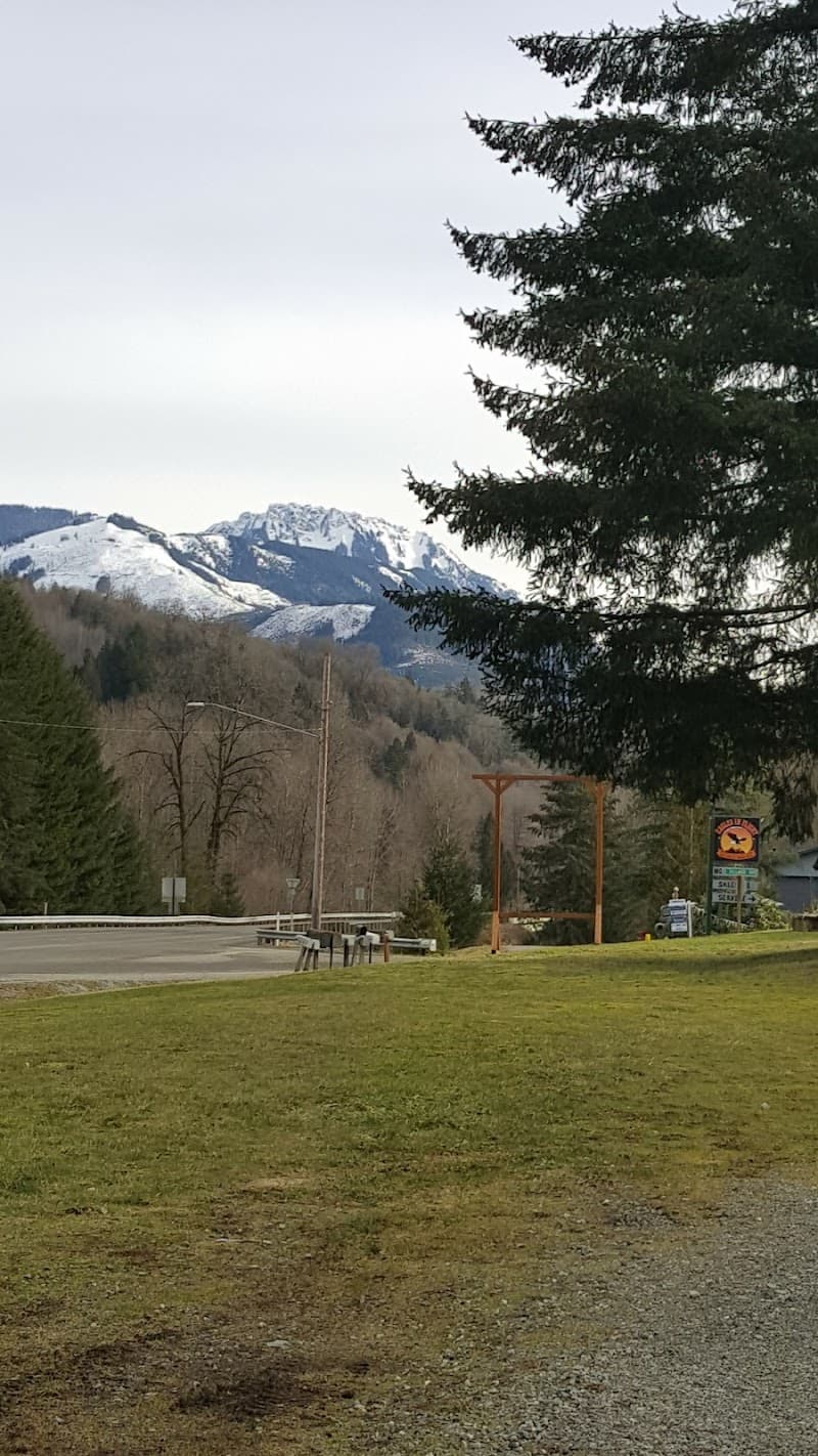 Photo by Patricia Jezek (Google)