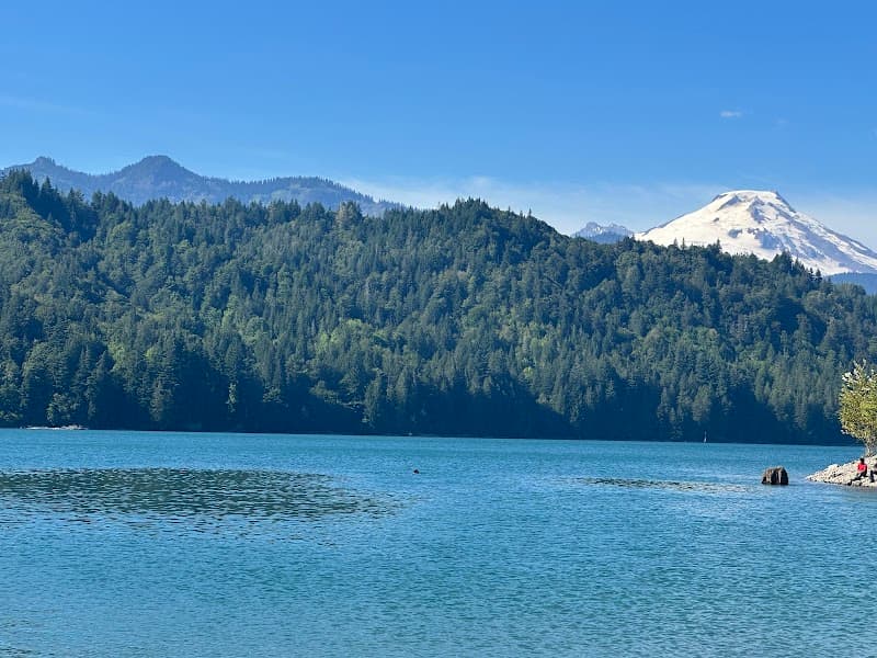 Photo by Daniela Martinez (Google)