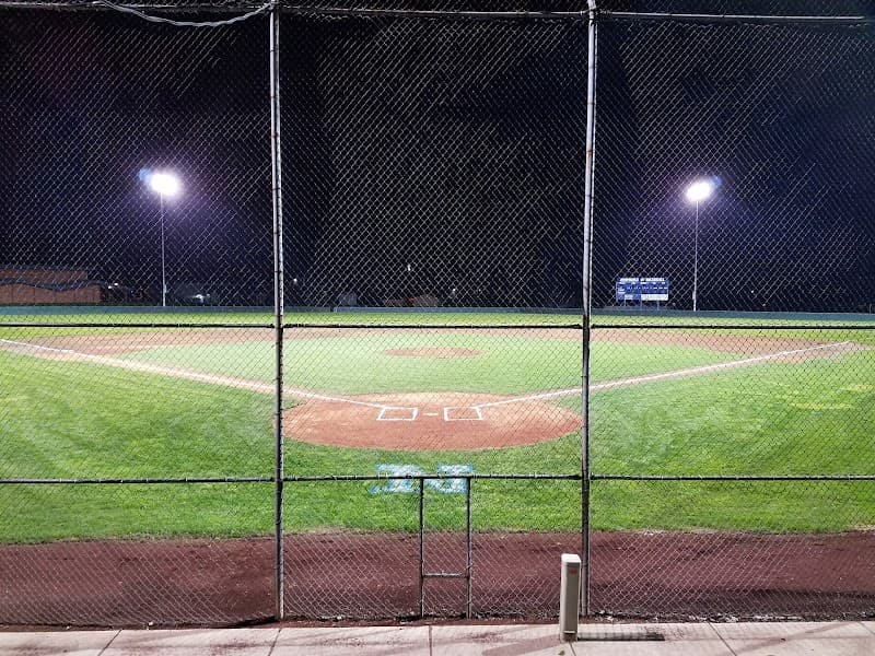 Photo by Quentin Comus (Google)