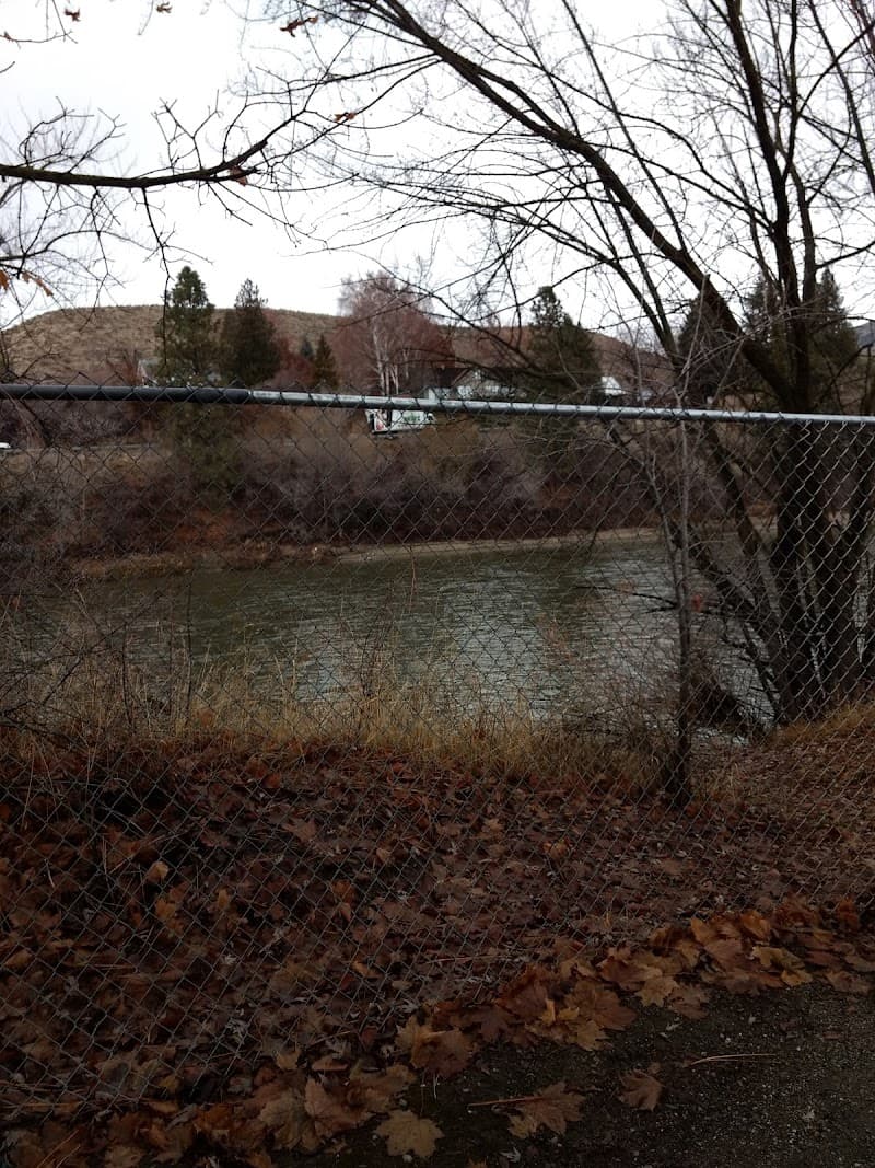 Photo by Alaina Hjart (Google)