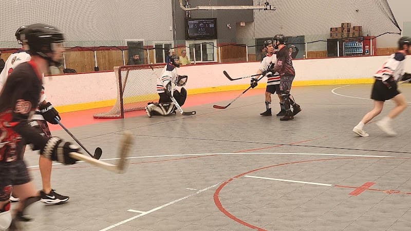 Photo by stacy metcalf (Google)