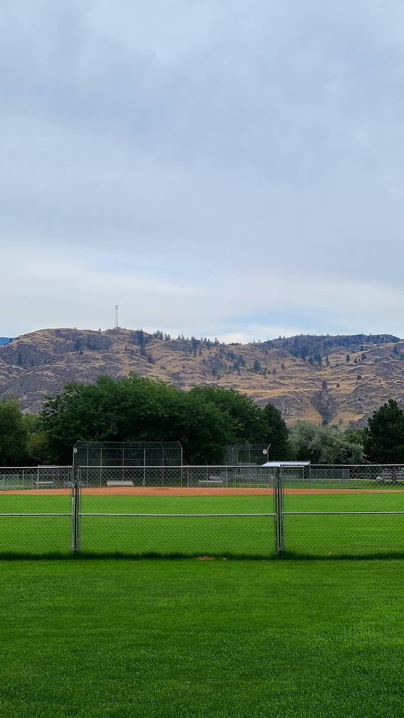 Photo by Sumi Oh (Google)