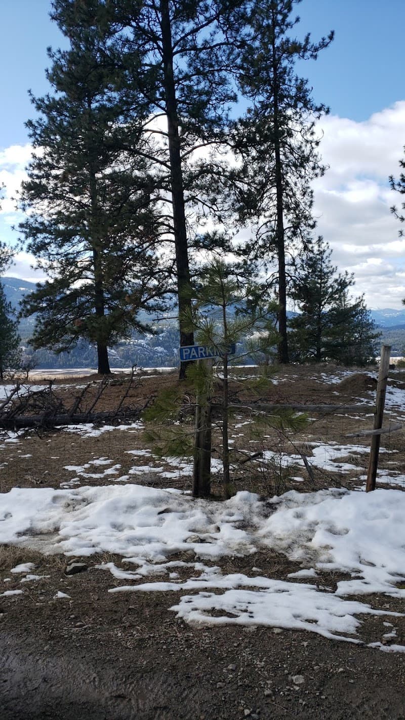 Photo by Jason Reeves (Google)