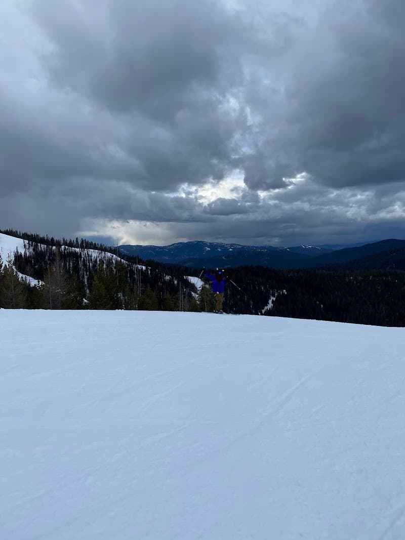 Photo by Tania (Google)