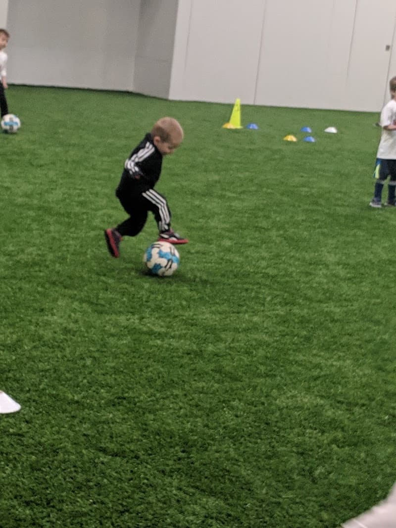 Photo by Hannah Felchle (Google)