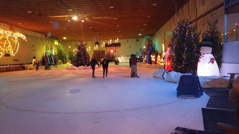 Photo by Dee Dee (Google)