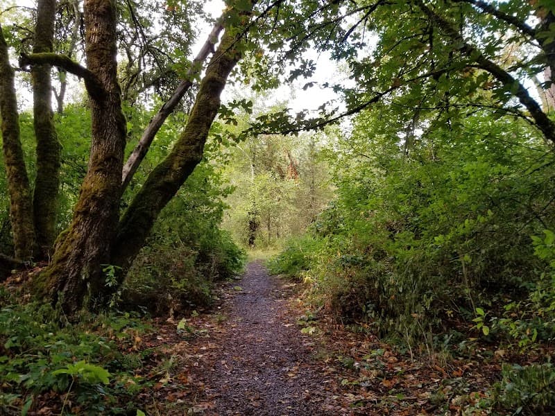 Photo by RILEY SANCHEZ (Google)