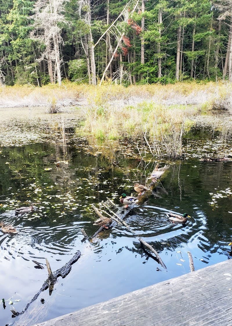 Oliver Woods Community Centre