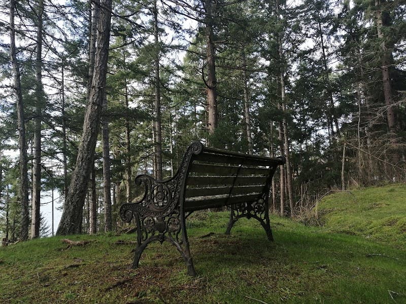 Photo by Hayden Barry (Google)