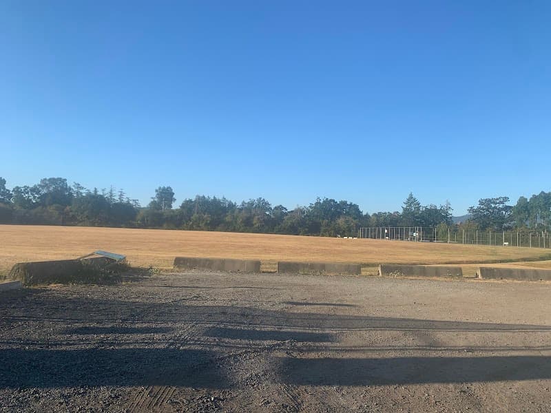 Photo by Alexa Taylor (Google)