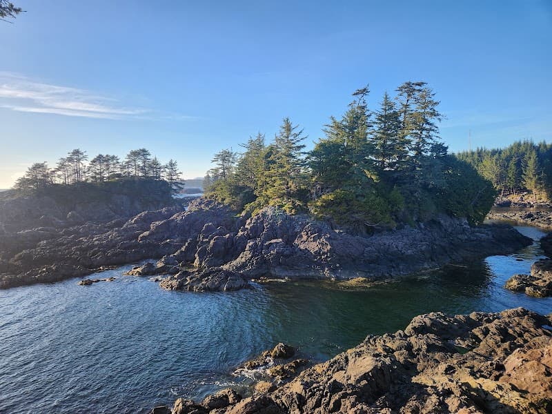 Photo by Daniel Sims (Google)