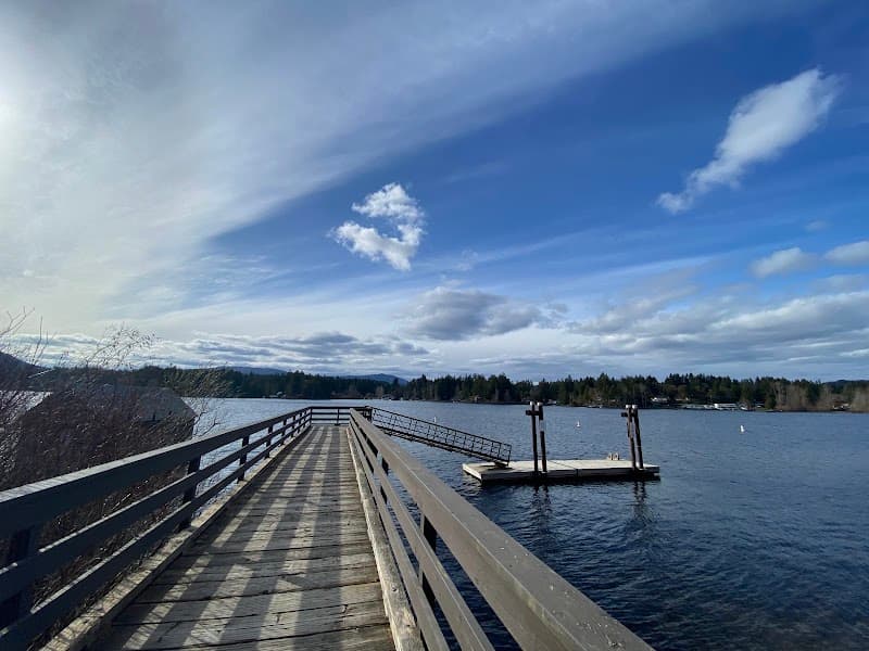 Photo by Cindy Tang (Google)