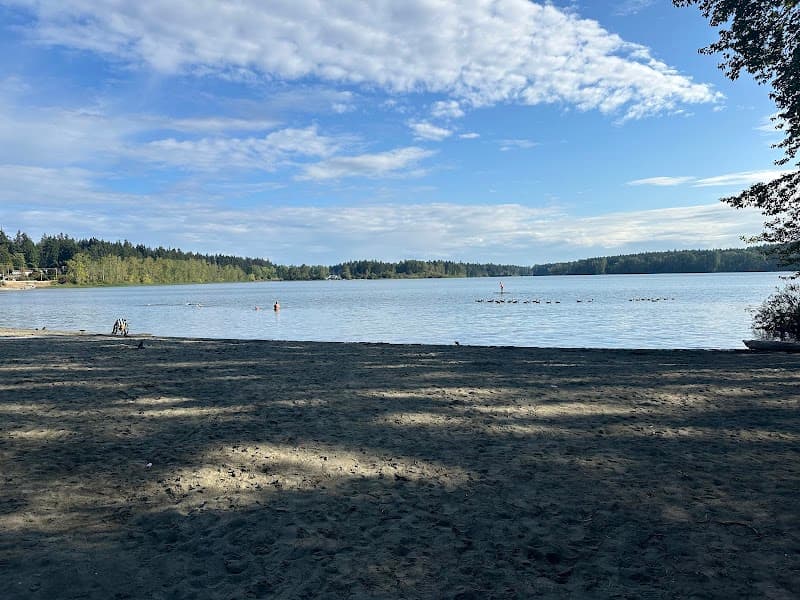 Photo by Shahbaz Salehi (Google)