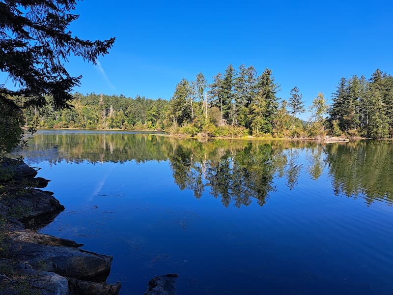 Photo by Viviane CΓ΄tΓ© (Google)