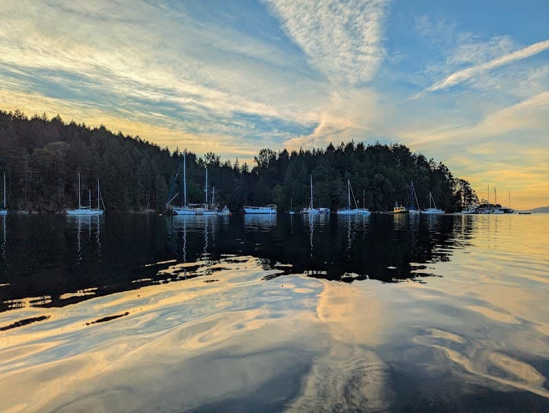 Photo by Cameron Critchlow (Google)