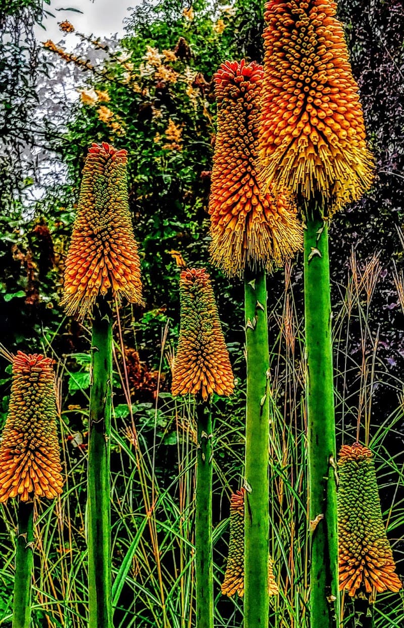 Photo by Paul Christopher (Google)