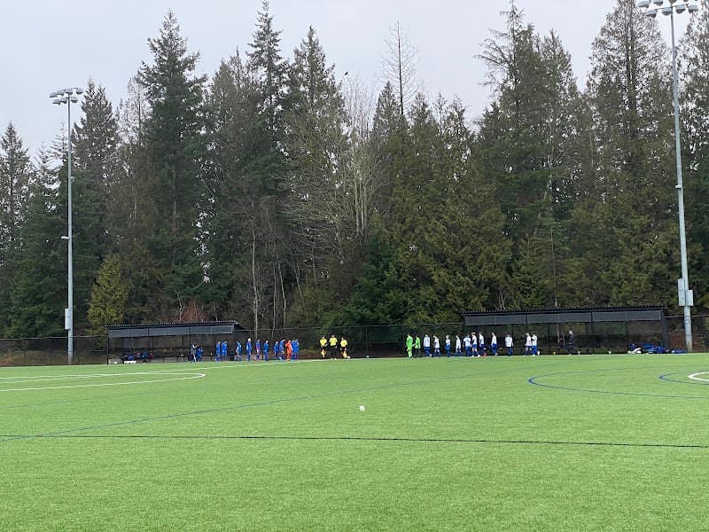 Photo by Cindy Bao (Google)