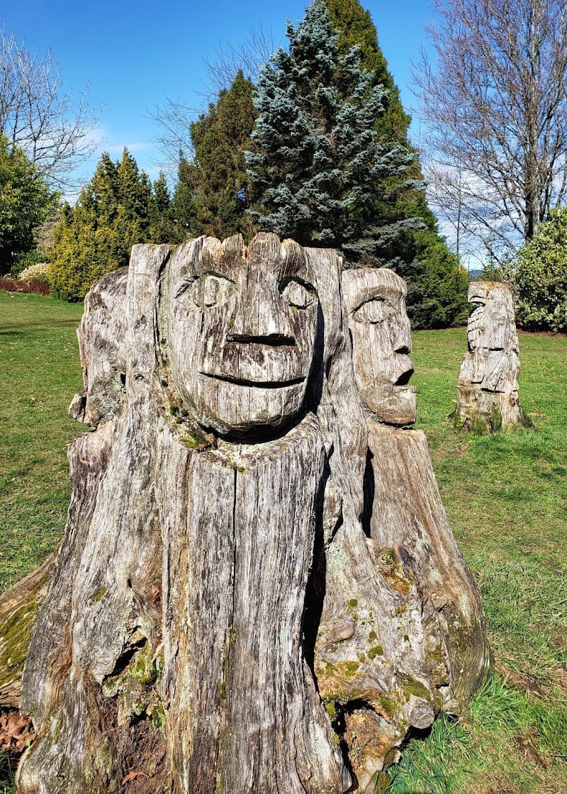 Photo by Allan Lloyd (Google)