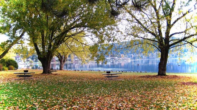 Photo by Glenn Kelly (Google)