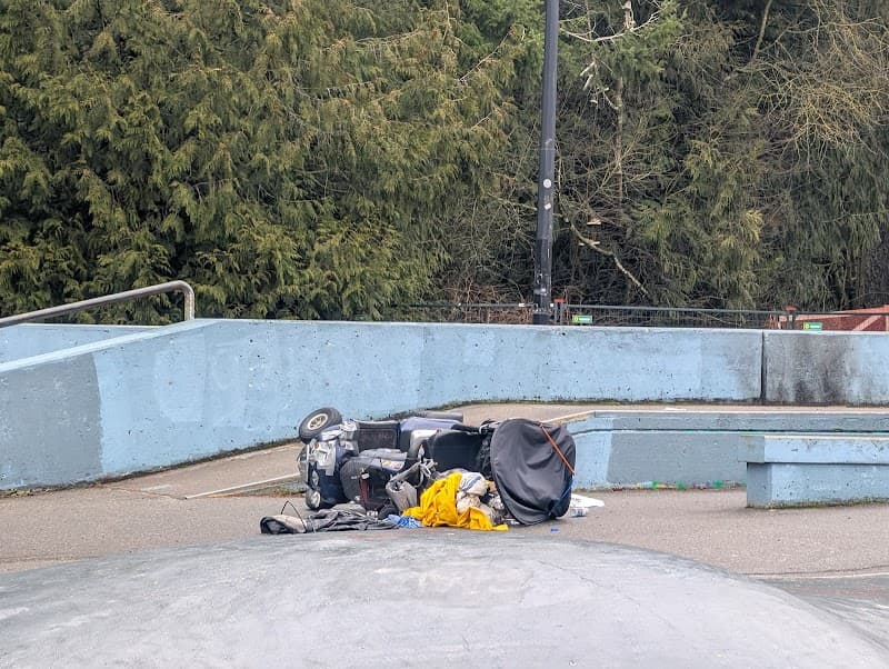 Photo by Mandy Johnston (Google)