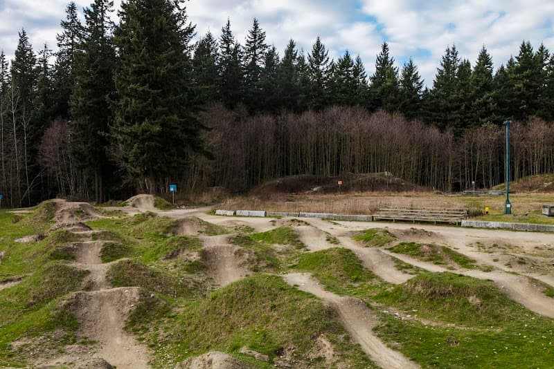 Photo by Caroline Vasica (Google)