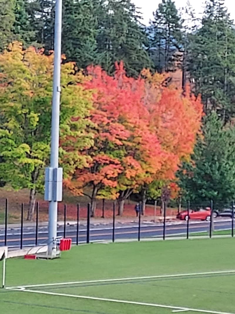 Robert S. Harrington Field